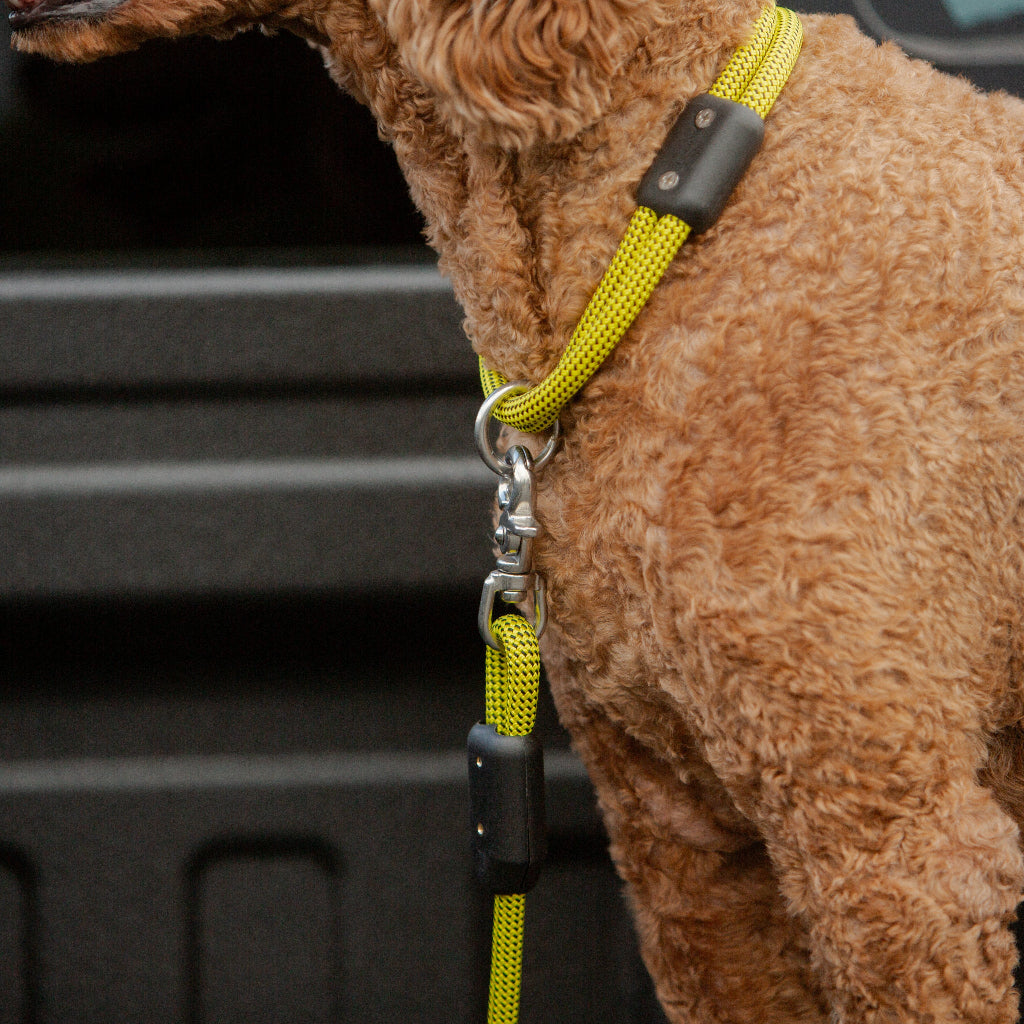 Truck Bed Zipline and Tether