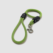 Short Leash