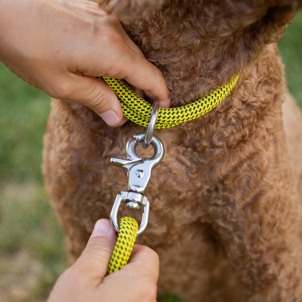 MuttBros-047.jpg