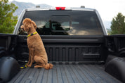 Truck Bed Dog Restraint System